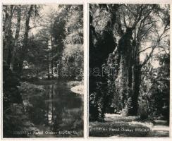 Dédács, Biscaria (Piski, Simeria); Parcul Ocskay / Ocskay kert / park - 2 db régi fotó képeslap / 2 pre-1945 photo postcards (Foto I. Horváth, Hateg)