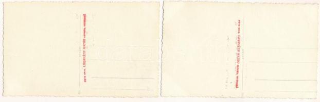 Dédács, Biscaria (Piski, Simeria); Parcul Ocskay / Ocskay kert / park - 2 db régi fotó képeslap / 2 ...