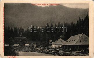 Felsővisó, Viseu de Sus (Máramaros); Fajna kincstári telep a Vasérvölgyben, fűrésztelep. Gimes János felvétele, Bárány Tivadar kiadása / sawmill (r)