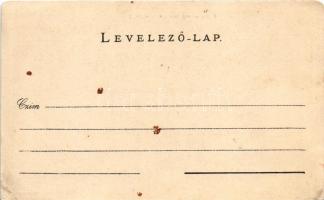 Felsővisó, Viseu de Sus (Máramaros); Fajna kincstári telep a Vasérvölgyben, fűrésztelep. Gimes János...