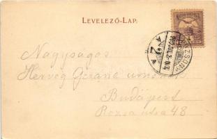 1900 Dévény, Theben a. d. Donau, Devín (Pozsony, Bratislava); látkép. Schmidt Edgar kiadása / genera...