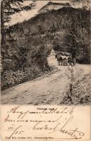 1903 Vöröskő, Cerveny Kamen (Cseszte, Castá); Vöröskő vára. Blau Béla kiadása / Schloss Bibersburg / Hrad Cerveny Kamen, Píla / castle (EK)