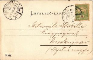 1903 Vöröskő, Cerveny Kamen (Cseszte, Castá); Vöröskő vára. Blau Béla kiadása / Schloss Bibersburg /...