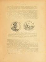 Dr. Szalay József - Dr. Baróti Lajos: A Magyar Nemzet története. IV. kötet. Magyarország a Habsburg-...