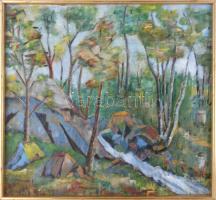 J. R. jelzéssel (Jókai Róza?): Erdőrészlet. Olaj, vászon, fakeretben. 52,5x57 cm