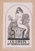 Ex Libris Dr. Stern Brunó, erotikus szecessziós ex libris, klisé, papír, jelzett a dúcon, 7x4 cm.