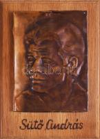 Sütő András domborított rézlemez kép, fa lapon, 14x11 cm