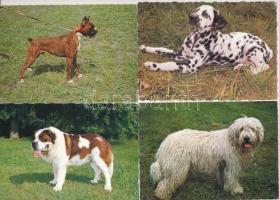 18 db MODERN üdvözlőlap: főleg kutyák / 18 modern greeting postcards: mainly dogs