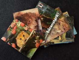 50 db MODERN üdvözlőlap: állatok / 50 modern greeting postcards: animals