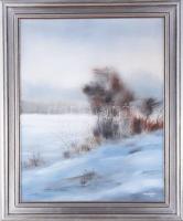 Spolarich László (1955-): Téli táj. Olaj, farost, jelzett, dekoratív fakeretben, 50x40 cm.