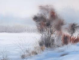 Spolarich László (1955-): Téli táj. Olaj, farost, jelzett, dekoratív fakeretben, 50x40 cm