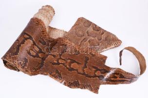 Óriás kígyóbőr, cca 400 cm