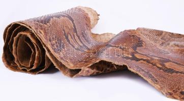 Óriás kígyóbőr, cca 400 cm