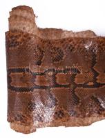 Óriás kígyóbőr, cca 400 cm