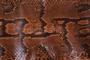 Óriás kígyóbőr, cca 400 cm