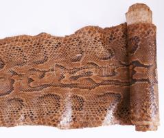 Óriás kígyóbőr, cca 400 cm