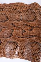 Óriás kígyóbőr, cca 400 cm