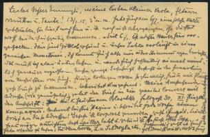 1915 Jó állapotú tábori lap "Fliegerpost Przemysl" Bécsbe