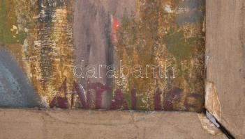 Antal Irén (1903-1999): Férfi portré, háttérben a Duna. Olaj, vászon, jelezve jobbra lent. Sérült. D...