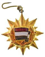 1956. "A Magyar Népköztársaság Zászlórendjének I. fokozata" a kitüntetés aranyozott, zománcozott tombak frakklánc miniatűrje (25mm) T:AU  Hungary 1956. "Flag Order of the Hungarian People's Republic, 1st Grade" gold-plated, enamelled tombac miniature tail-coat accessorie (25mm) C:AU