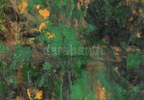 Wagner János (1936-2022): Kert (Éjszakai történet). Olaj, vászon, jelezve jobbra lent: Wagner. Hátol...