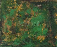 Wagner János (1936-2022): Kert (Éjszakai történet). Olaj, vászon, jelezve jobbra lent: Wagner. Hátol...