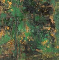 Wagner János (1936-2022): Kert (Éjszakai történet). Olaj, vászon, jelezve jobbra lent: Wagner. Hátol...