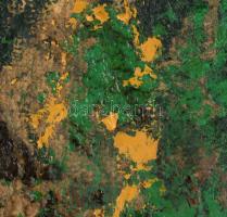 Wagner János (1936-2022): Kert (Éjszakai történet). Olaj, vászon, jelezve jobbra lent: Wagner. Hátol...