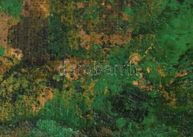 Wagner János (1936-2022): Kert (Éjszakai történet). Olaj, vászon, jelezve jobbra lent: Wagner. Hátol...