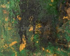 Wagner János (1936-2022): Kert (Éjszakai történet). Olaj, vászon, jelezve jobbra lent: Wagner. Hátol...