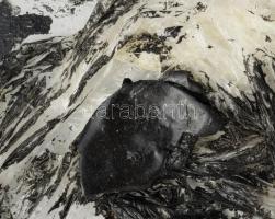 Wagner János (1936-2022): Gomolygás, 2016. Zománcfesték, vegyes technika, műanyag fólia, jelzett a h...