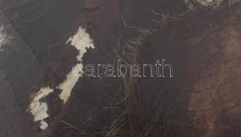 Wagner János (1936-2022): Kiterjedés II. (cím nélkül). Pálmalevél, merített papír, jelezve jobbra le...