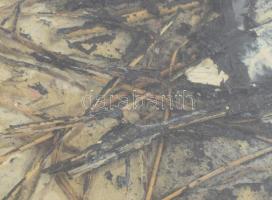 Wagner János (1936-2022): Lecsurgás. Akril, szalma, merített papír, jelezve jobbra lent: Wagner Jáno...