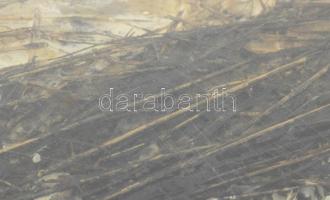 Wagner János (1936-2022): Lecsurgás. Akril, szalma, merített papír, jelezve jobbra lent: Wagner Jáno...