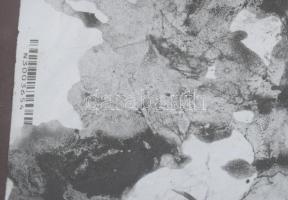 Wagner János (1936-2022): Növényzet. Vegyes technika, kollázs, papír, jelezve jobbra lent: Wagner. 3...