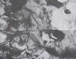 Wagner János (1936-2022): Növényzet. Vegyes technika, kollázs, papír, jelezve jobbra lent: Wagner. 3...