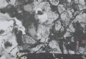 Wagner János (1936-2022): Növényzet. Vegyes technika, kollázs, papír, jelezve jobbra lent: Wagner. 3...