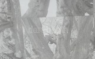 Wagner János (1936-2022): Bartók, Mandarin. Kollázs, papír, jelezve jobbra lent: Wagner. 35x28 cm. Ü...