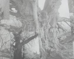 Wagner János (1936-2022): Bartók, Mandarin. Kollázs, papír, jelezve jobbra lent: Wagner. 35x28 cm. Ü...