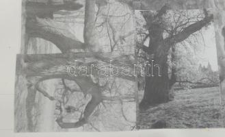 Wagner János (1936-2022): Bartók, Mandarin. Kollázs, papír, jelezve jobbra lent: Wagner. 35x28 cm. Ü...