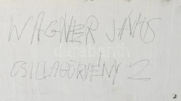 Wagner János (1936-2022): Csillagörvény 2. Vegyes technika, farost, jelzett a hátoldalán: Wagner Ján...