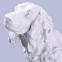 Herendi spániel. Jelzett masszába nyomott jelzéssel, hibátlan, 31x22 cm