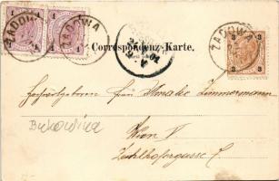 1901 Chernivtsi, Czernowitz, Cernauti, Csernyivci (Bukovina, Bucovina, Bukowina); Das Prutthal. Verl...