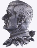 Horthy Miklós fém plakett, 9x7 cm