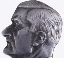 Horthy Miklós fém plakett, 9x7 cm