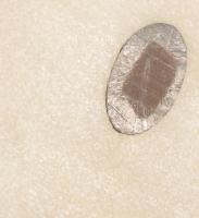 Lux Elek (1884-1941): Női büszt. Feltehetően ón vagy bronz, jelzett a talapzaton, m: 24,5 cm