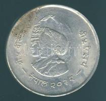 Nepál 1975. 20R Ag "FAO" T:2/3 apró ph.