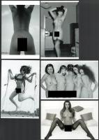 A hölgyek mindent megmutatnak, szolidan erotikus felvétel, 5 db modern nagyítás, jelzés nélkül, 15x10 cm és 10x15 cm