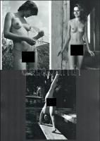 Retró aktok az 1970-es évekből, szolidan erotikus felvételek, 3 db modern nagyítás, jelzés nélkül, 21x15 cm