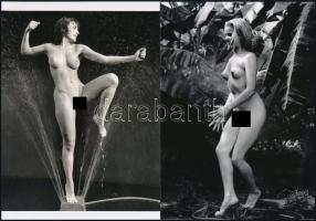 cca 1952 André de Dienes (korábban Ikafalvi-Dienes Andor György) (1913-1985) magyar - amerikai fotóriporter és fotóművész szolidan erotikus felvételei, 2 db modern nagyítás, jelzés nélkül, 21x15 cm
